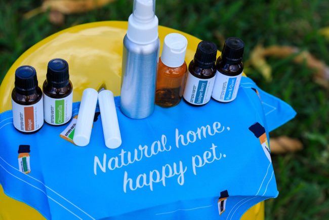 Simply Earth May 2019 Essential Oil Recipe Box